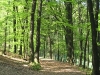 impressionen17