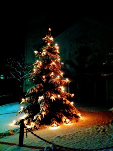 Weihnachtsbaum 2012